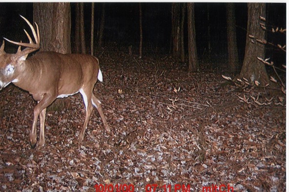 monahantrailcam